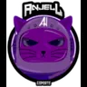 ANxJELL ESPORTS