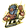LiT Esports