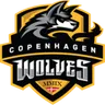 CPH Wolves Academy