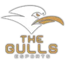 The Gulls Esports