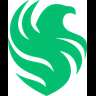 Falcons Academy Green