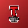 TORUS GAMING
