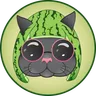 Meloncats