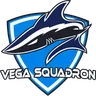 Vega Squadron