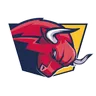 Red Bulls