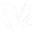 Team RVZ