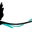 Flight Esports
