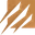 Extinction