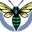 Hornets