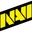 Natus Vincere
