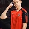 Rein