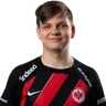 DizL
